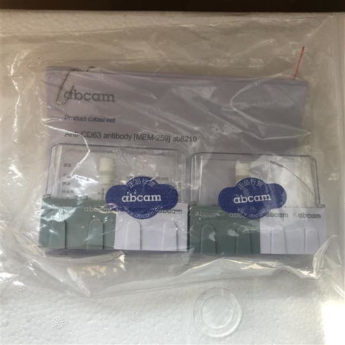 abcam今日發布abcam 抗體新聞資訊ab10025 上海易匯生物科技