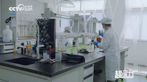 從制造到智造,央視網 超級工廠 走進植物醫生