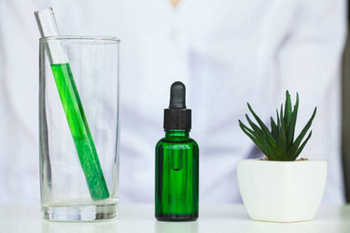 植提大師深耕B2B電商優勢，以易物新模式助力行業快速發展